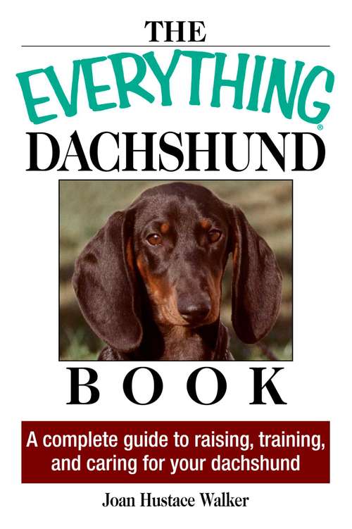 Book cover of The Everything Daschund Book