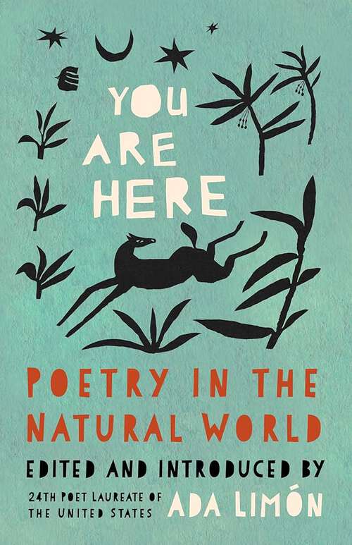 Book cover of You Are Here