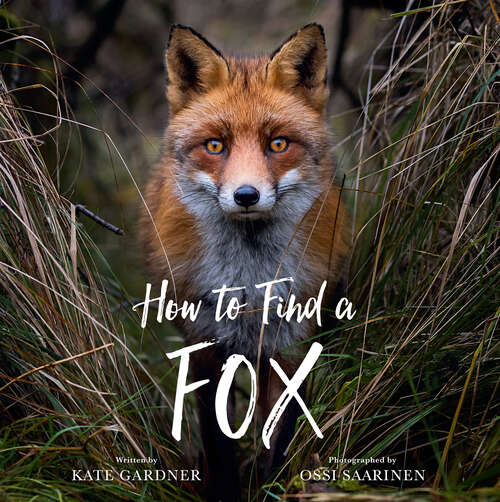 Book cover of How to Find a Fox