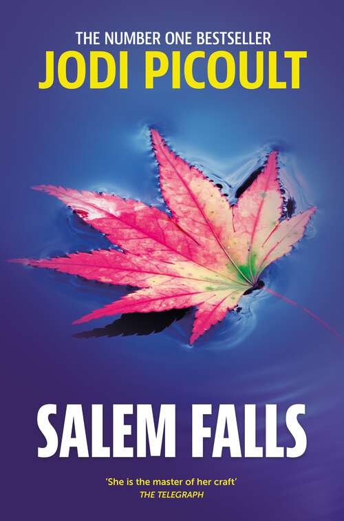 Book cover of Salem Falls