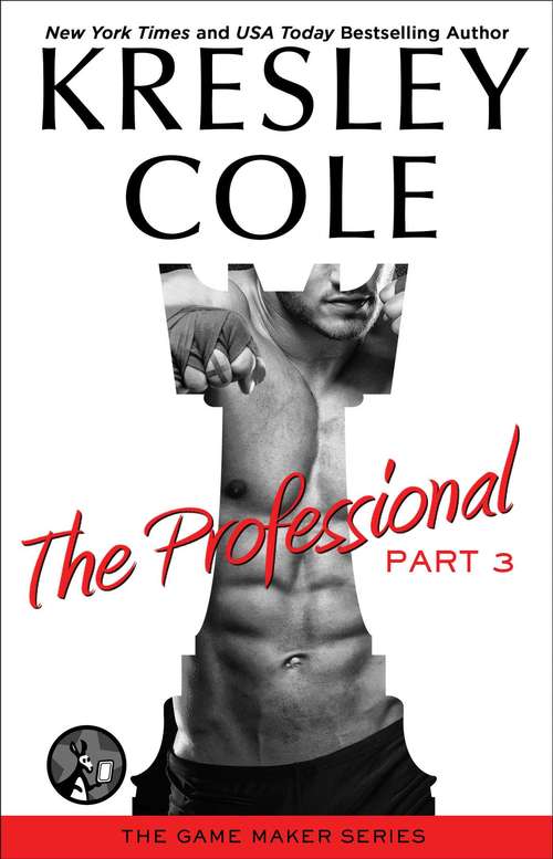 Book cover of The Professional: Part 3 (The Game Maker Series)