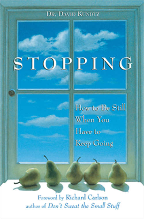 Book cover of Stopping: How to Be Still When You Have to Keep Going