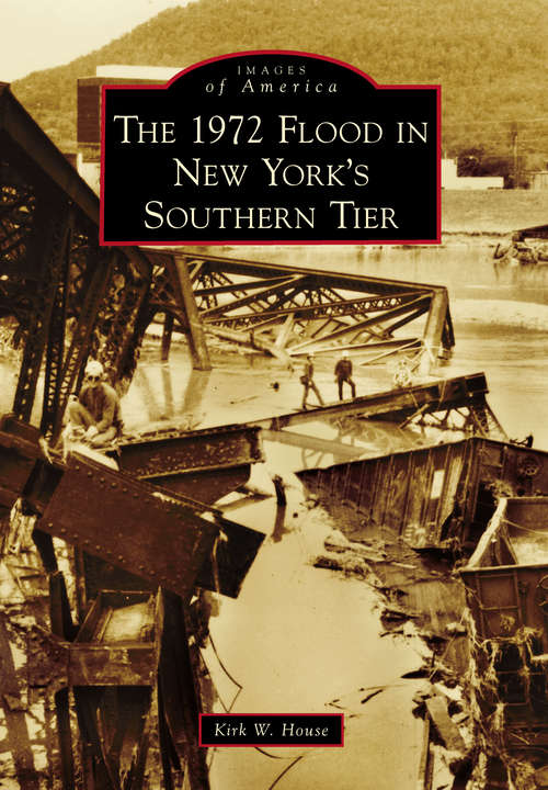 Book cover of 1972 Flood in New York's Southern Tier, The (Images of America)