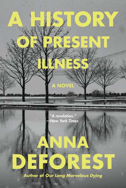 Book cover of A History of Present Illness: A Novel