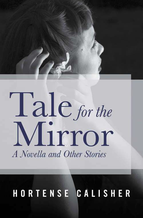 Book cover of Tale for the Mirror