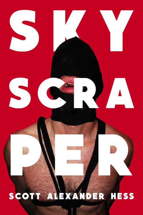 Book cover of Skyscraper