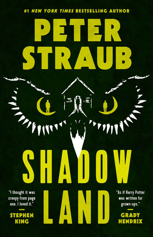 Book cover of Shadowland