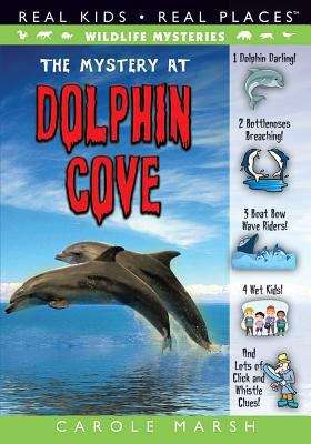 Book cover of The Mystery At Dolphin Cove