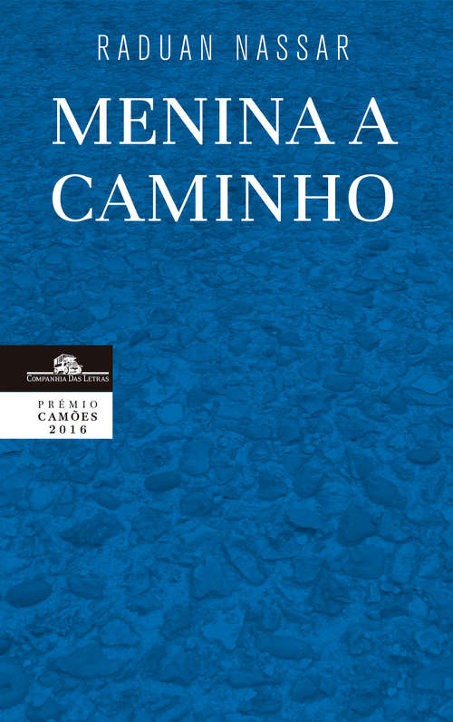 Book cover of Menina a Caminho