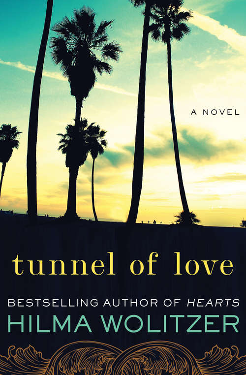 Book cover of Tunnel of Love: A Novel