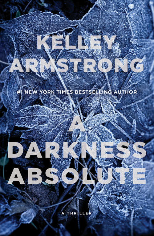 Book cover of A Darkness Absolute: A Rockton Thriller (City of the Lost #2)