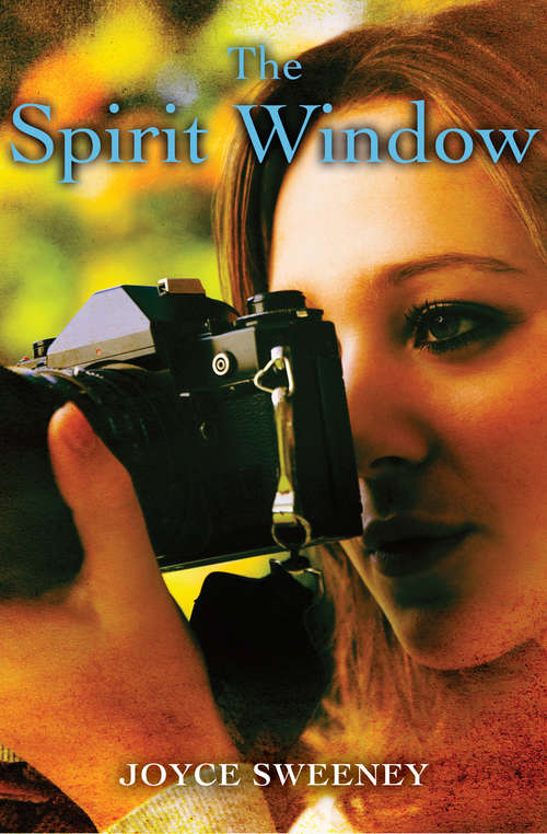Book cover of The Spirit Window