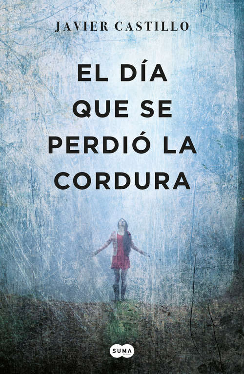 Book cover of El día que se perdió la cordura