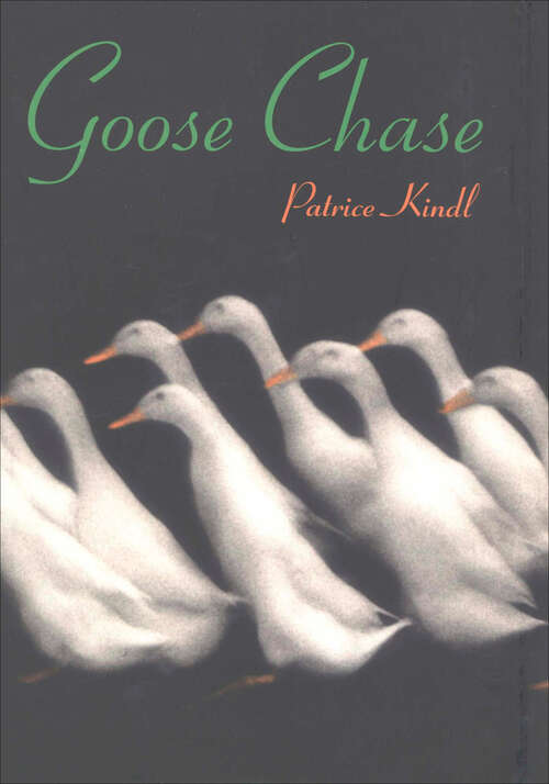 Book cover of Goose Chase