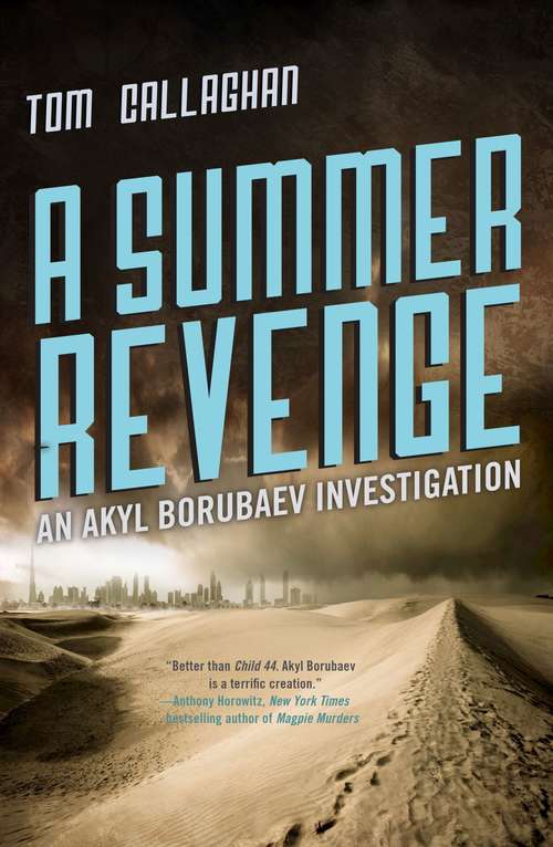 Book cover of A Summer Revenge