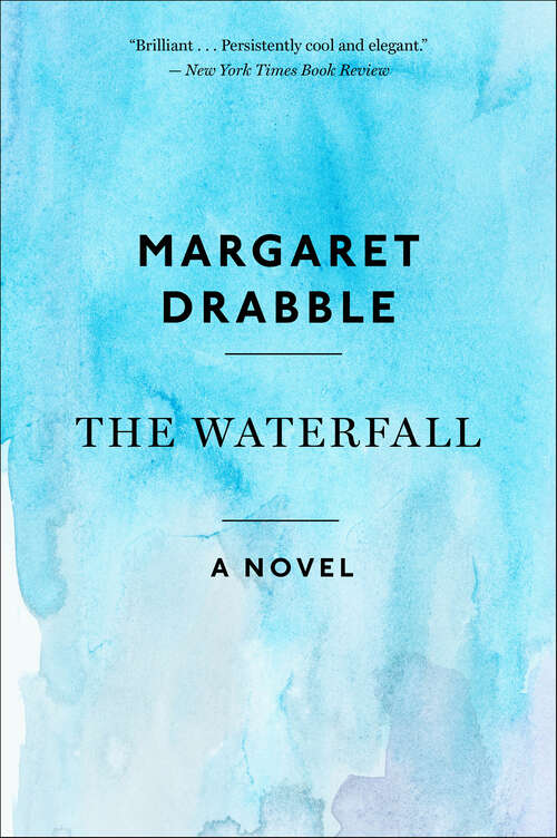 Book cover of The Waterfall: A Novel