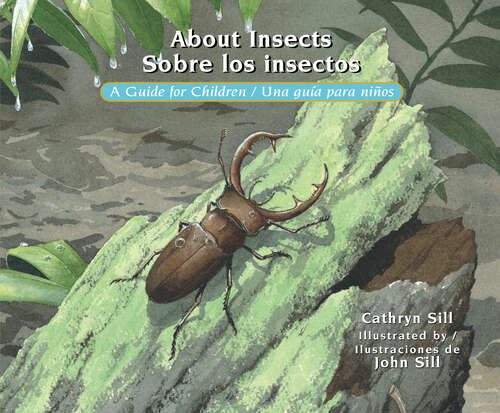 Book cover of About Insects / Sobre los insectos: A Guide for Children / Una guía para niños (About. . . #18)