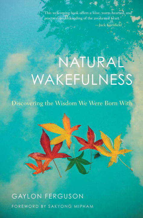 Book cover of Natural Wakefulness: Discovering the Wisdom We Were Born With