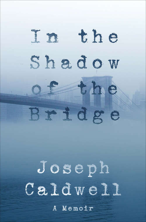 Book cover of In the Shadow of the Bridge: A Memoir