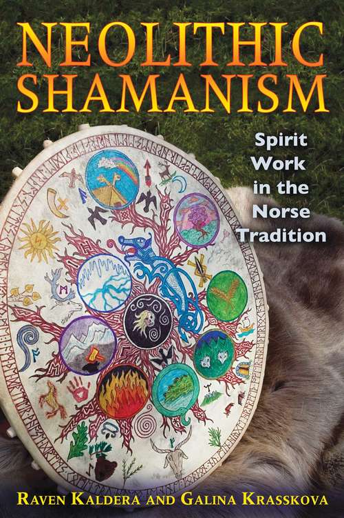 Book cover of Neolithic Shamanism: Spirit Work in the Norse Tradition