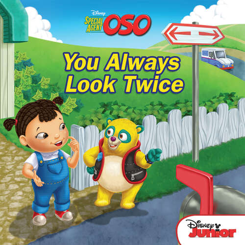 Book cover of Special Agent Oso: You Always Look Twice