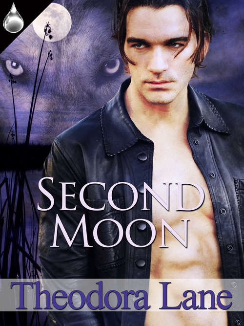 Book cover of Second Moon