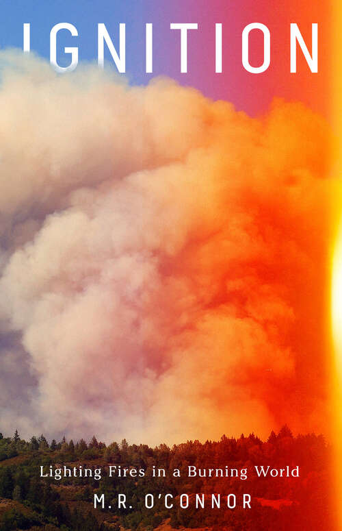 Book cover of Ignition: Lighting Fires in a Burning World