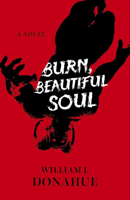 Book cover of Burn, Beautiful Soul: A Novel