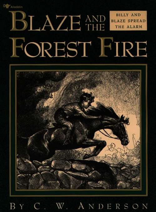 Book cover of Blaze and the Forest Fire