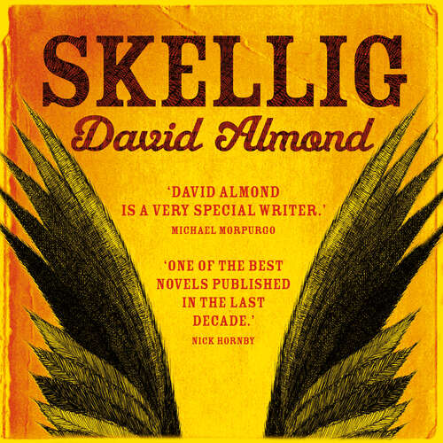 Book cover of Skellig