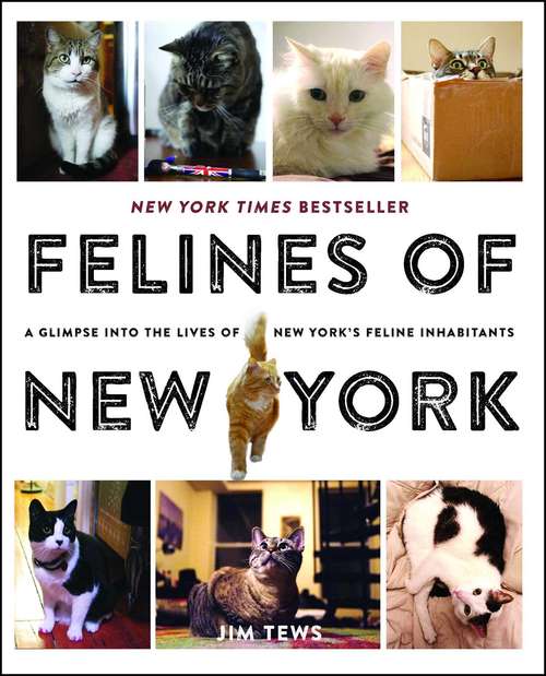 Book cover of Felines of New York