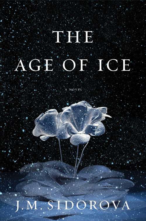 Book cover of The Age of Ice: A Novel
