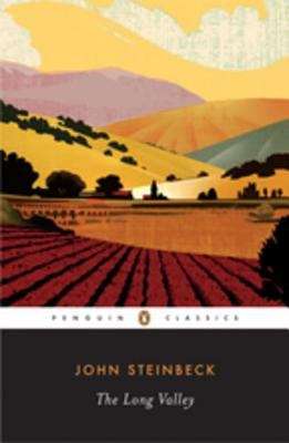 Book cover of The Long Valley