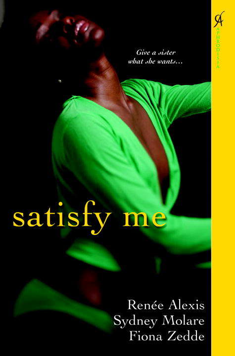 Book cover of Satisfy Me