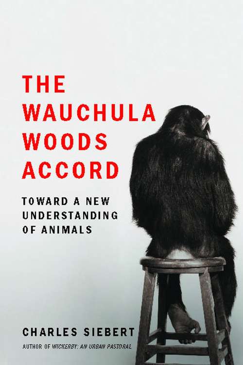Book cover of The Wauchula Woods Accord