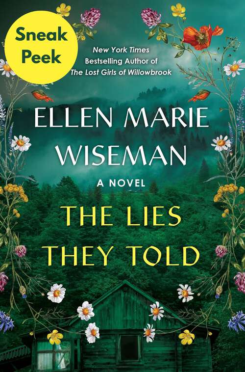 Book cover of The Lies They Told: Sneak Peek