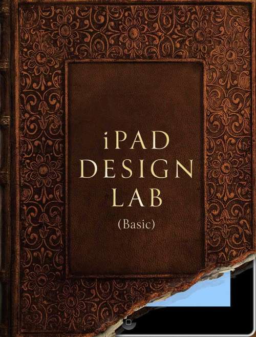 Book cover of iPad Design Lab - Basic