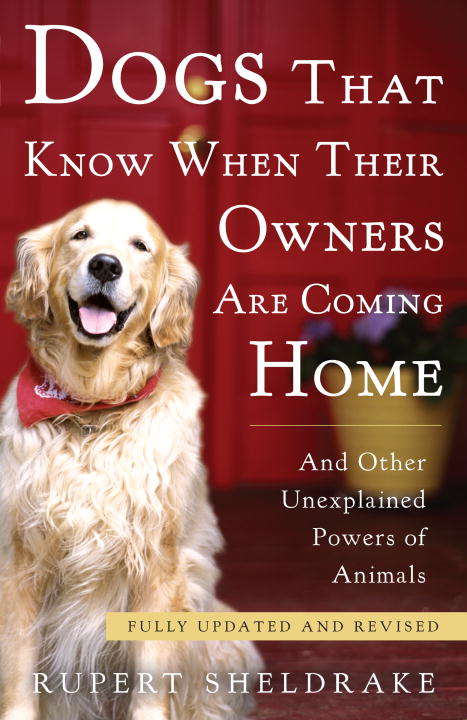 Book cover of Dogs That Know When Their Owners Are Coming Home