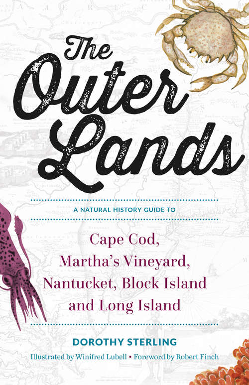 Book cover of The Outer Lands: A Natural History Guide To Cape Cod, Martha's Vineyard, Nantucket, Block Island, And Long Island