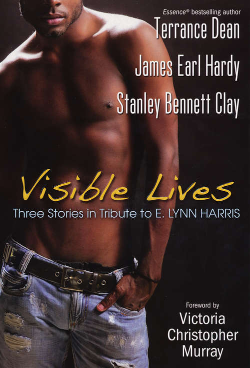 Book cover of Visible Lives