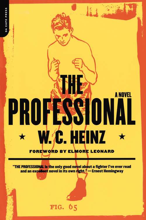 Book cover of The Professional