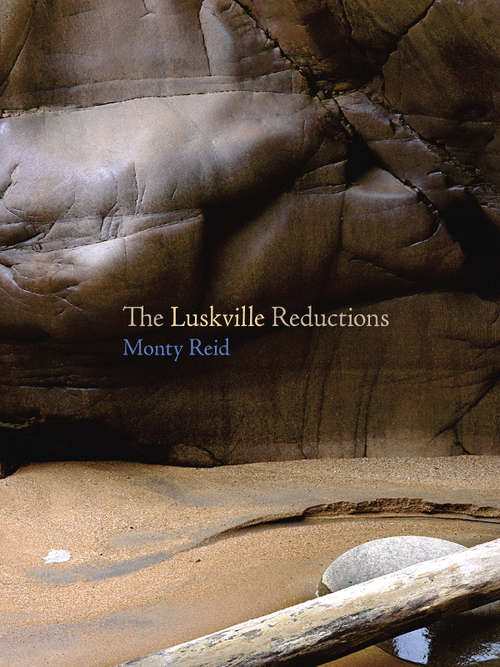 Book cover of The Luskville Reductions