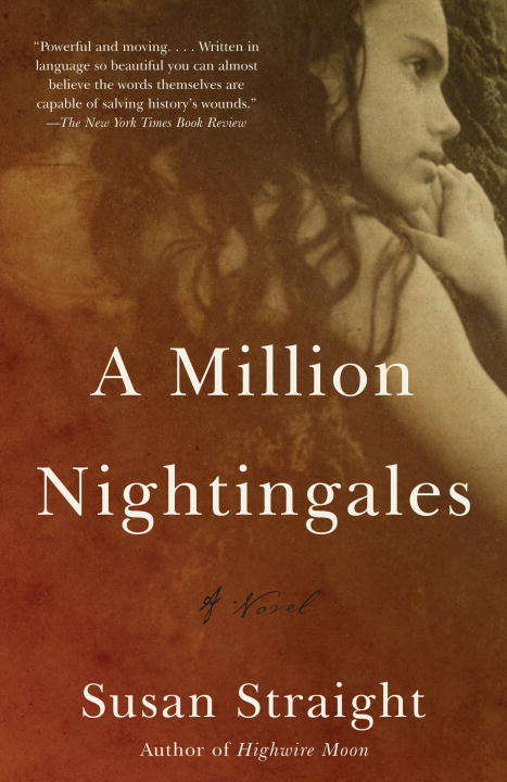 Book cover of A Million Nightingales