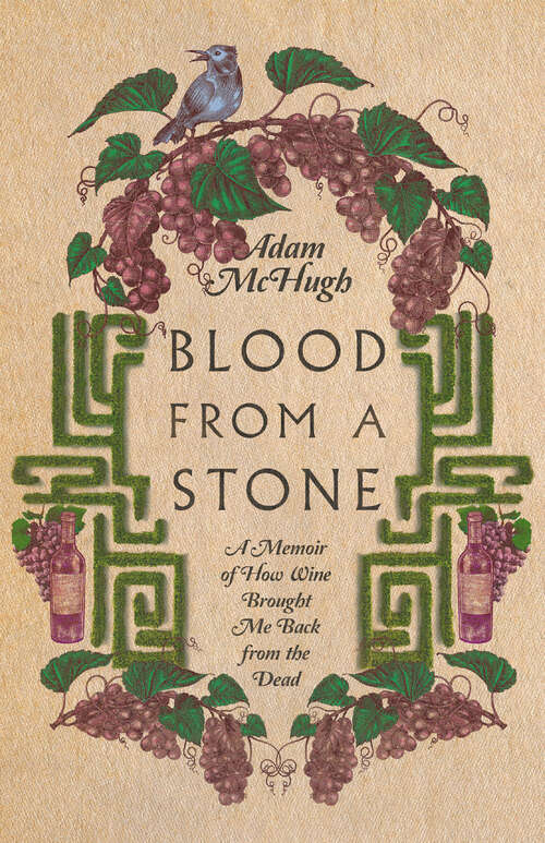 Book cover of Blood From a Stone: A Memoir of How Wine Brought Me Back from the Dead