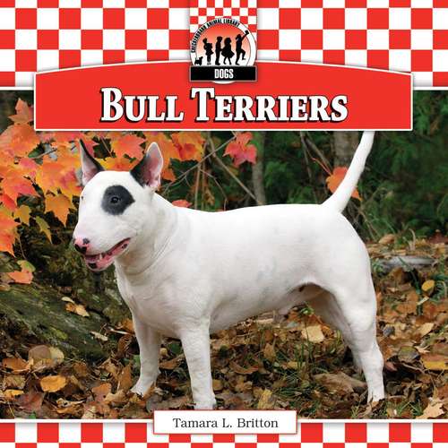 Book cover of Bull Terriers