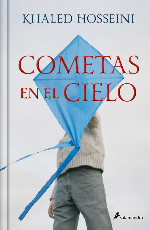 Book cover of Cometas en el cielo