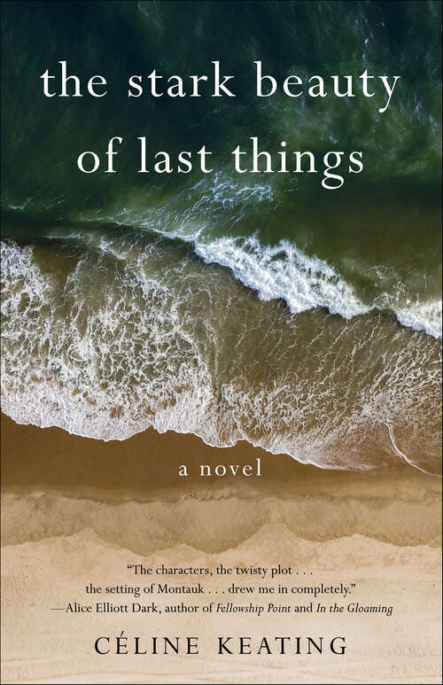 Book cover of The Stark Beauty of Last Things: A Novel