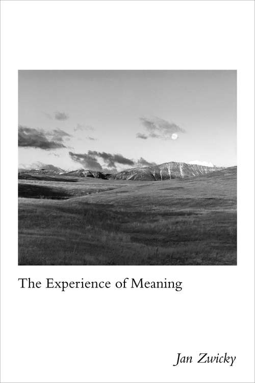 Book cover of The Experience of Meaning