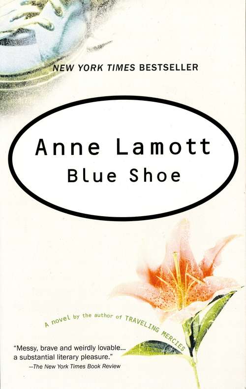 Book cover of Blue Shoe