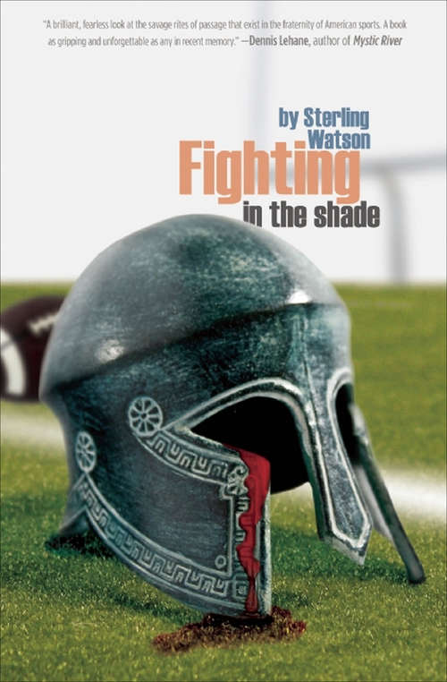 Book cover of Fighting in the Shade